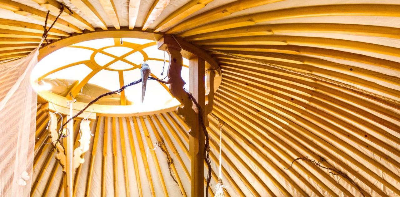 2 Cuori E 1 Yurta Glamping In Tuscany - Adults Only أسكيانو المظهر الخارجي الصورة